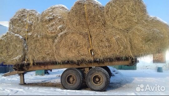 Сено, солома