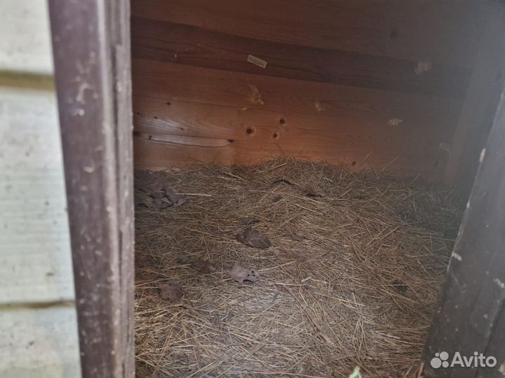 Будка для собаки