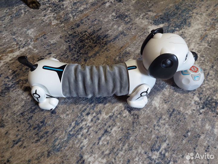 Собака робот