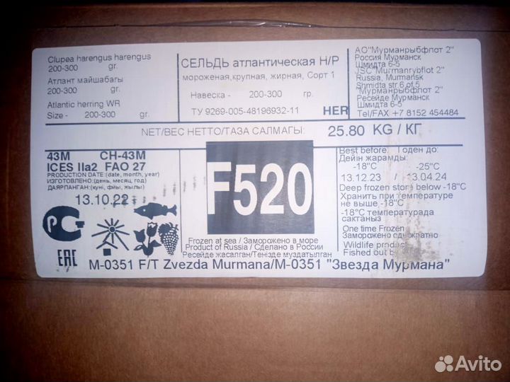 Сельдь атлантическая свежемороженая. Мурманск