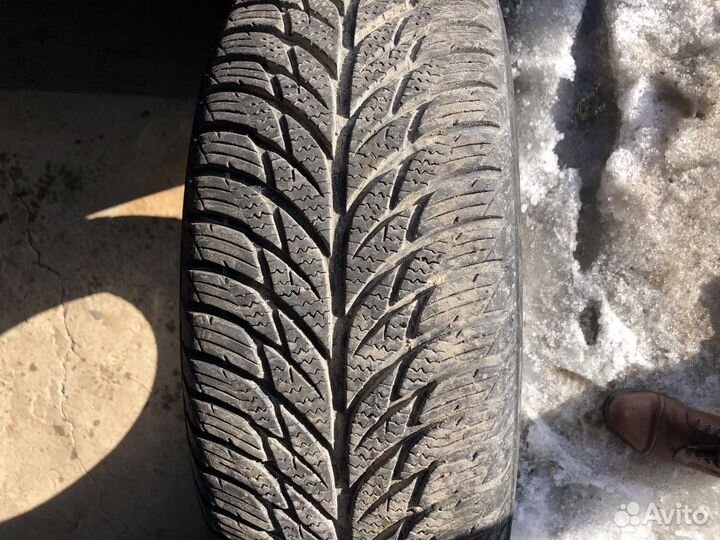 Matador MP 62 All Weather Evo 205/60 R16 96H