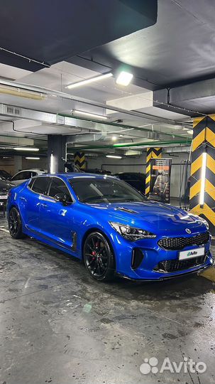 Kia Stinger 2 AT, 2019, 60 000 км