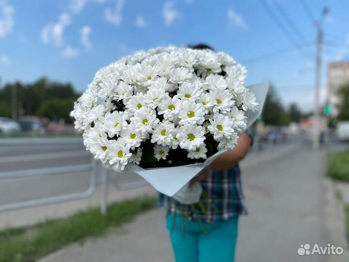 15 кустовых хризантем