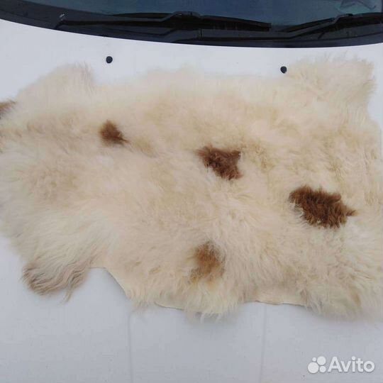 Шкуры барана, козы