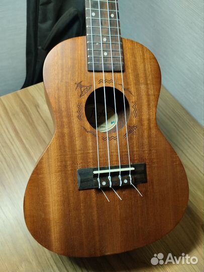 Укулеле flight концерт