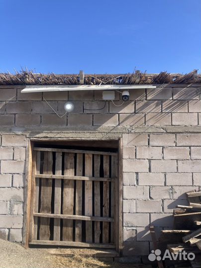 Ферма Кашара для животноводства и теплицы