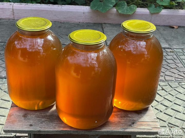 Мед лечебный