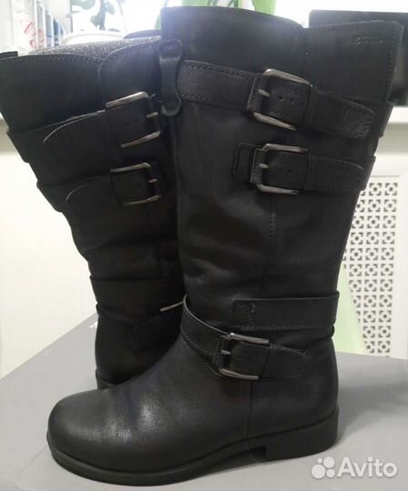 Сапоги женские Ecco