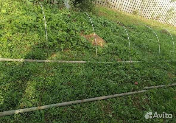 Тепличка дуговая