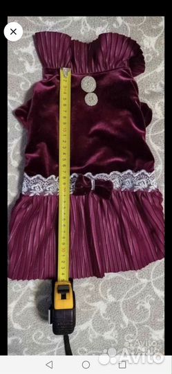 Кофточки для маленькой собачки, дождевик, платье