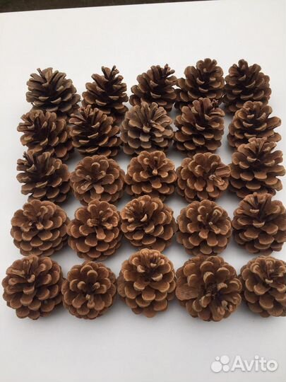 Шишки для декора