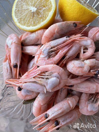 Креветки северные (Гренландия)