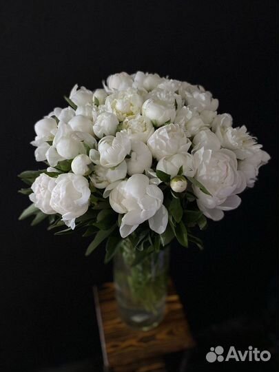 Пионы белые