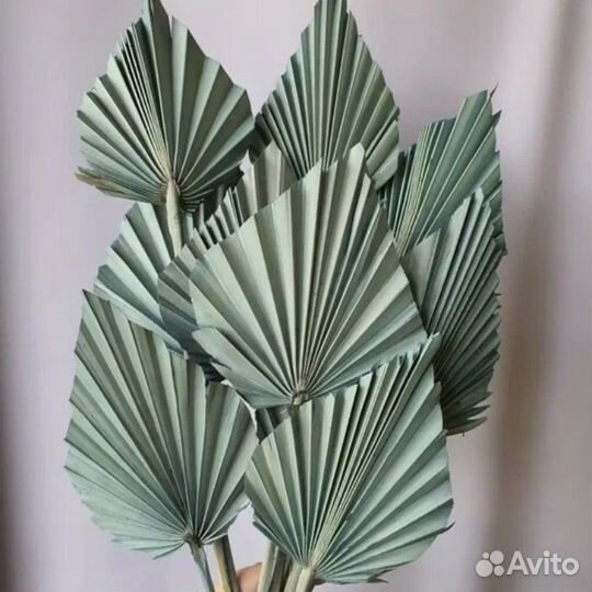 Цветы. Сухоцветы для творчества и рукоделия