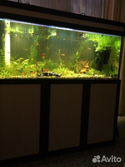 Аквариум 680 литров (был морской)