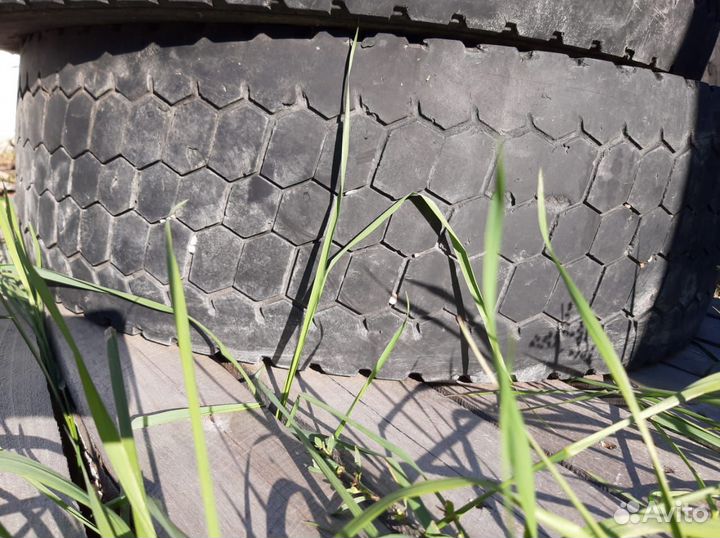 Шины 245 70 19.5 Кама