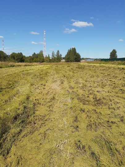 Участок 25 сот. (СНТ, ДНП)