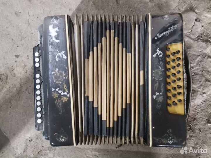 Баян аккордион гармонь
