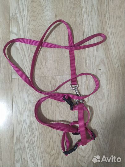 Шлейка для кошки