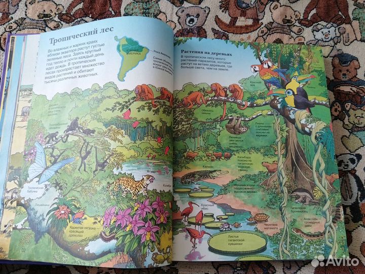 Детская энциклопедия