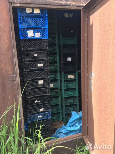 Ящики под ягоду, фрукты, овощи