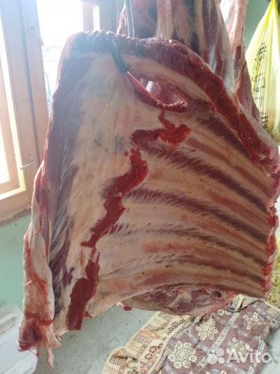 Мясо говядина