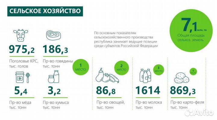 Презентации на заказ