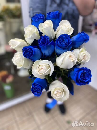17 роз (белые + синие)