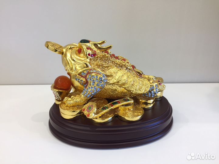 Денежная лягушка