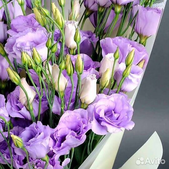 Эустома Букет цветов Доставка Ижевск