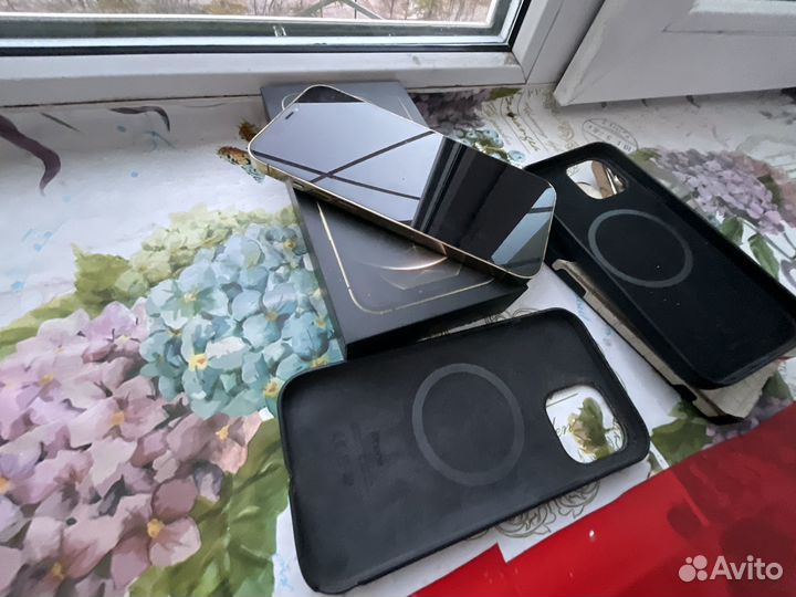 iPhone 12 Pro Max, 256 ГБ