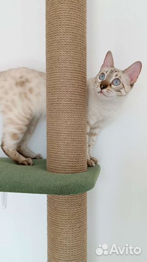 Настенный комплекс для кошки на заказ