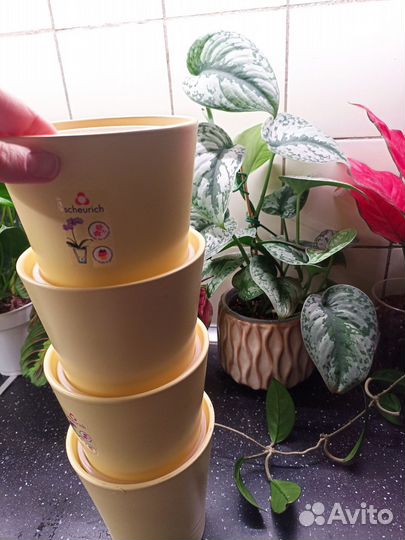 Кашпо для цветов