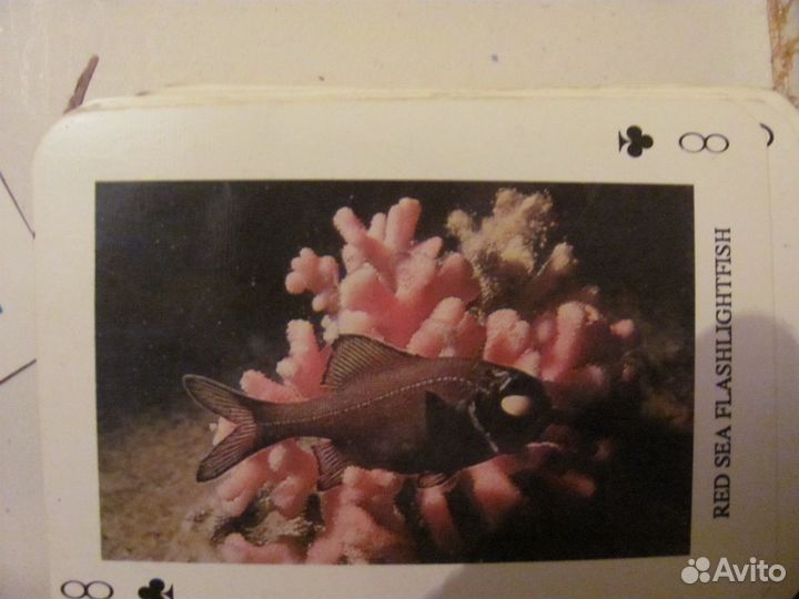 Игральные карты из Египта