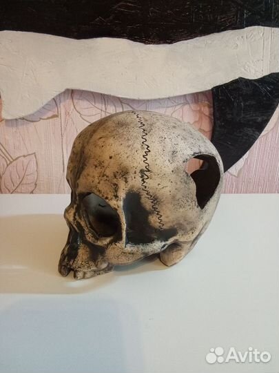 Аквариум,Помпа, Компрессор