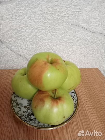 Яблоки домашние