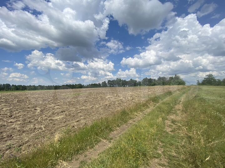 Участок 3,96 га (СНТ, ДНП)