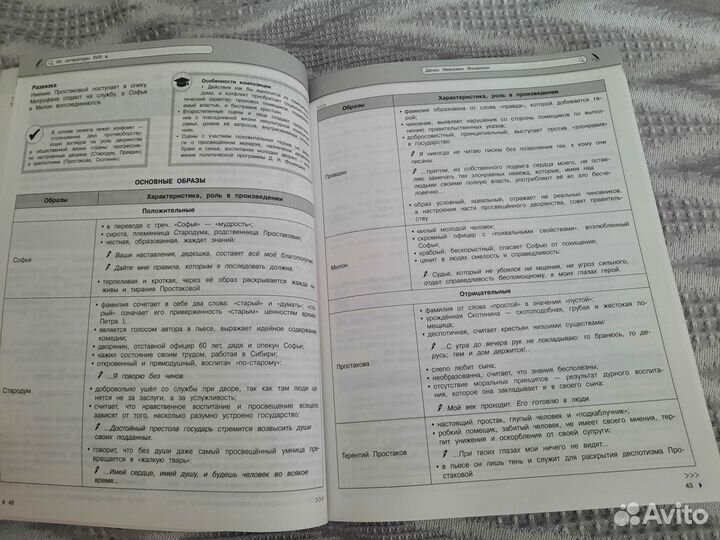 Теория школьного курса по литературе