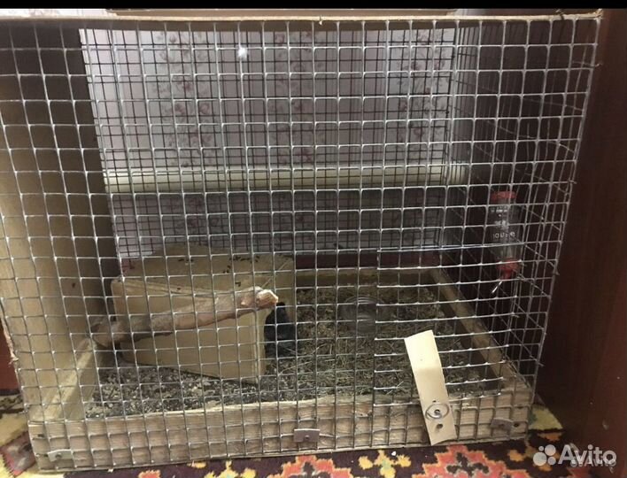 Клетка для грызунов
