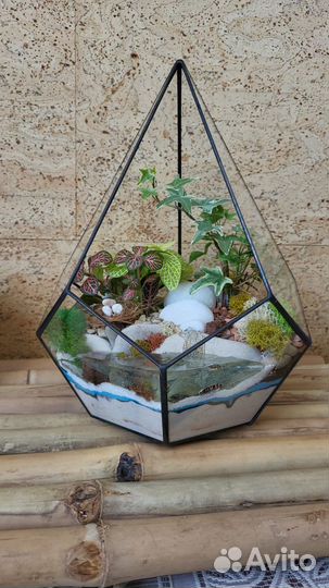 Живые влаголюбивые растения в вазе бонсай