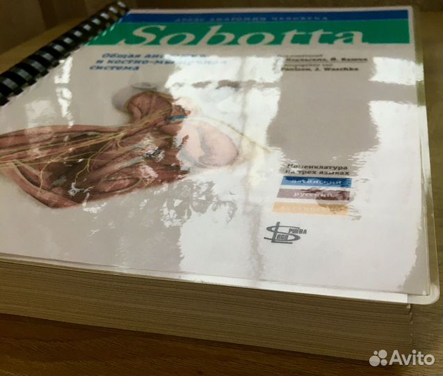 Sobotta. Атлас анатомии человека том 1, изд.2
