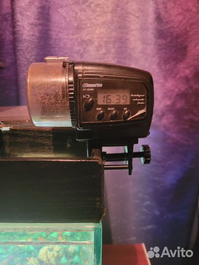 Аквариум + комплект оборудования и его жители