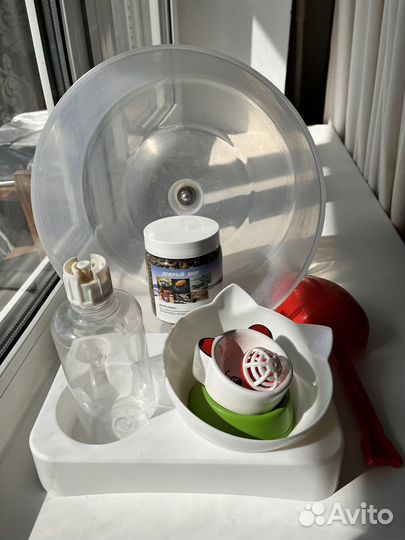 Корм и кормушка для ежа