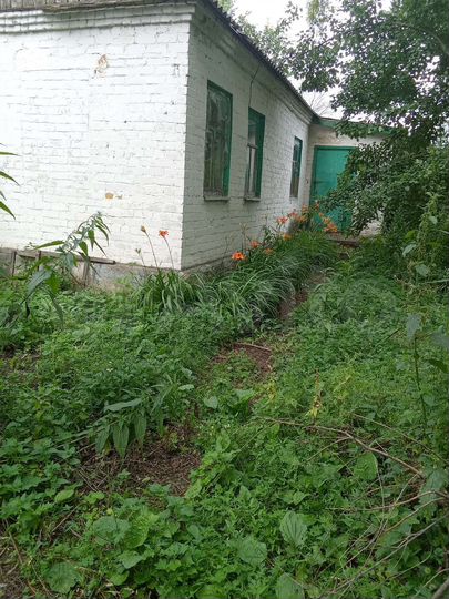 Дом 100 м² на участке 6 сот.