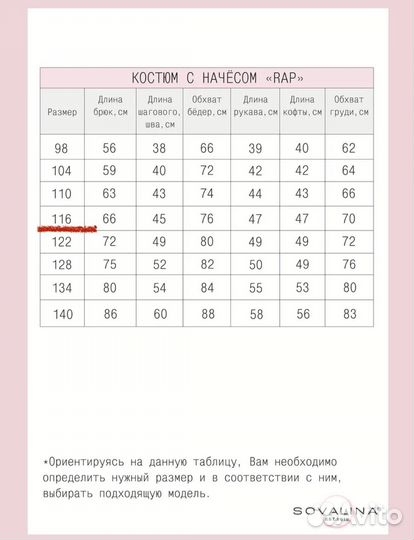 Костюм спортивный с начёсом 116