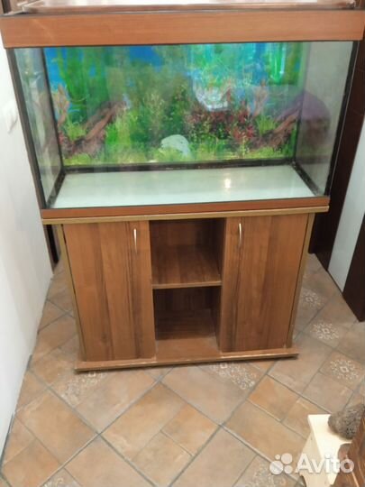 Аквариум