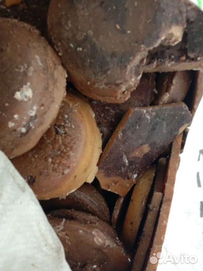 Прополис пчелиный