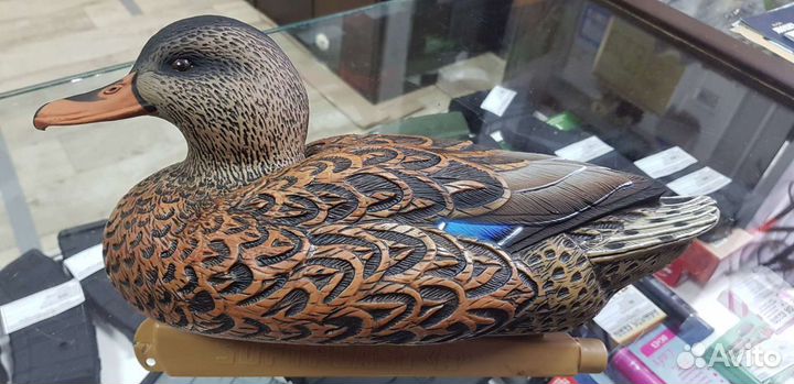 Чучела(муляжи) уток, гусей, голубей. леший, кикимо