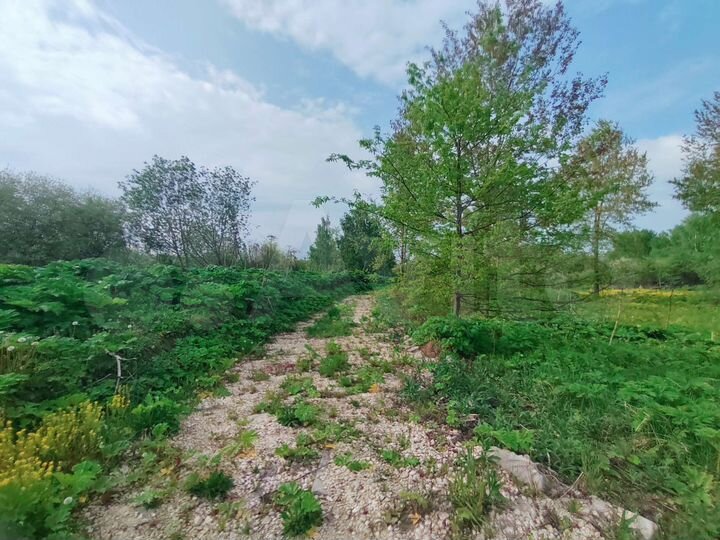 Участок 9,3 сот. (ИЖС)