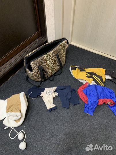 Вещи для животных